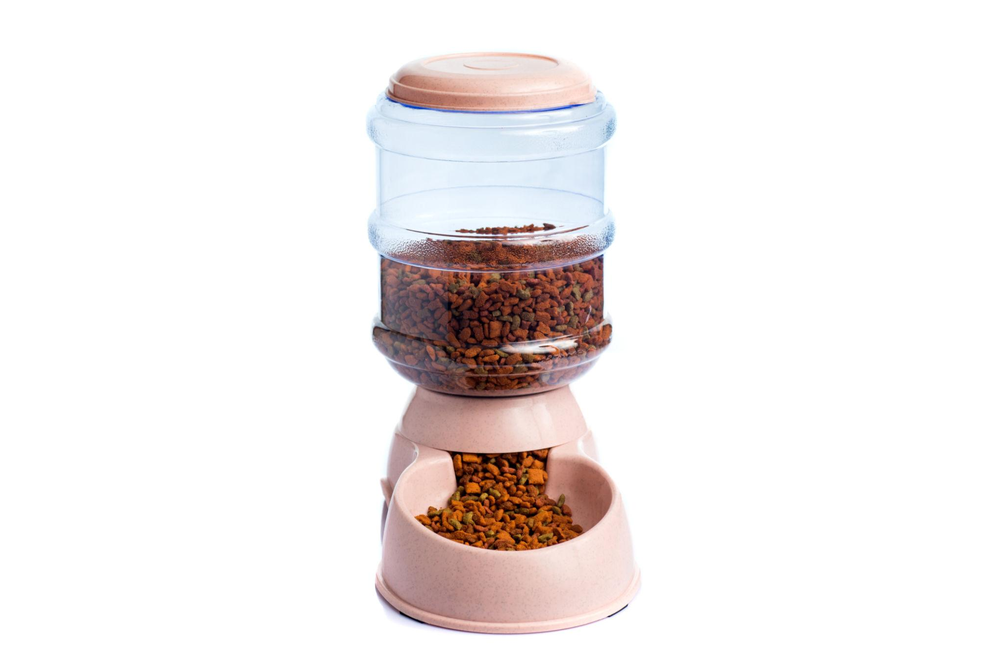 Automatic Pet Feeder for Hassle-Free Daily Feeding